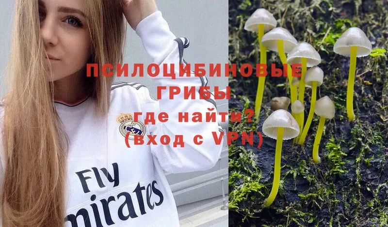 Псилоцибиновые грибы Magic Shrooms  где купить   Щёкино 